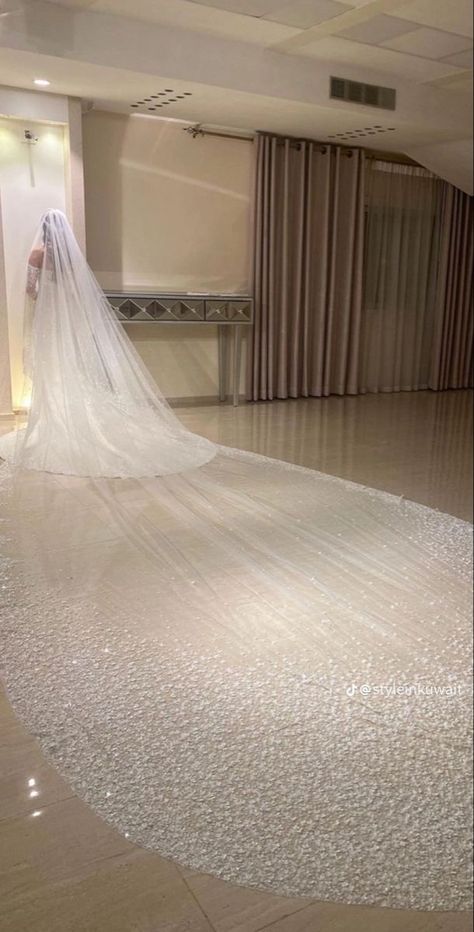 Long Veils Bridal, Cathedral Length Wedding Dress, Bridal Shop Ideas, Queen Wedding Dress, Dream Wedding Reception, Cathedral Bridal Veils, Long Veil Wedding, Plus Wedding Dresses, Wedding Rings Princess Cut