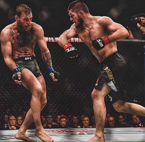 Line Of Action Poses, Ufc Fighters Men, Sif Dark Souls, Ufc Conor Mcgregor, Ronda Rousey Ufc, Khabib Nurmagomedov, Boxing Images, Boxing Posters, Ultimate Fighter