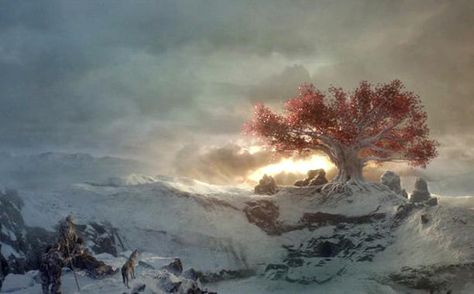 While HBO endlessly teases us about Jon Snow’s fate, here’s one of Ned Stark’s sons we can definitely say is coming back to Game of Thrones: Bran ... Game Of Thrones Tree, Isaac Hempstead Wright, Bran Stark, Shannara Chronicles, Game Of Thrones Art, Tree Wallpaper, Winter Is Here, Fire And Ice, Norse Mythology