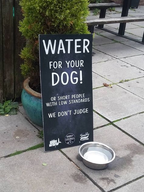 Ofrece agua para los perros de una forma divertida, aunque igual algo molesta para algunas personas 😂 Cafe Chalkboard, Nothing To Say, Extremely Funny, Short People, Chalkboard Signs, Funny Signs, A Sign, Shop Signs, Bones Funny