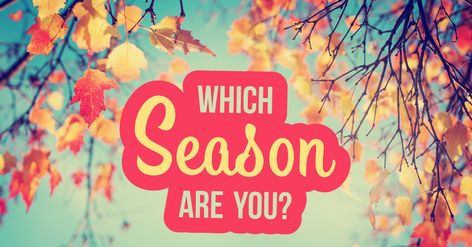 Which Season Are You? - Quiz - Quizony.com Women Poetry, Health Careers, Personality Quizzes, Your Best Self, Favorite Season, Music Humor, Describe Yourself, Changing Seasons, Best Self