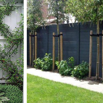 Moderne Have, Privacy Fence Designs, Backyard Privacy, Garden Screening, Diy Fence, Fence Landscaping, Contemporary Garden, Backyard Fences, Garden Fencing