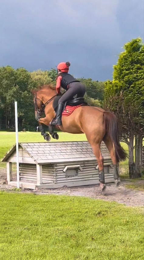 Grey Horses, Equestrian Aesthetic, English Riding, Grey Horse, Horse Jumping, Horse Life, Horse Rider, Show Horses, Cross Country