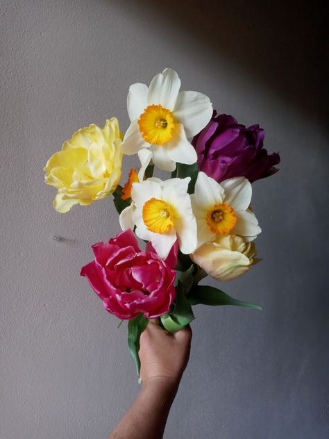 Double tulips and fancy daffodils Daffodil Flower Crown, Fancy Daffodils, Daffodils Wedding, Daffodil Wedding, Double Tulips, Daffodil Bouquet, Tulip Wedding, Daffodil Flower, Peonies Bouquet