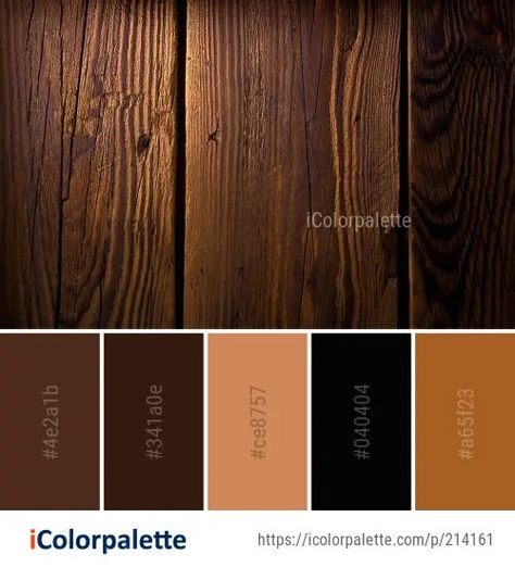 Wood Color Palette, Walnut Wood Color, Flooring Hardwood, Flooring Wood, Brown Floor, Brown Image, Color Palette Ideas, Paint Color Inspiration, Palette Ideas