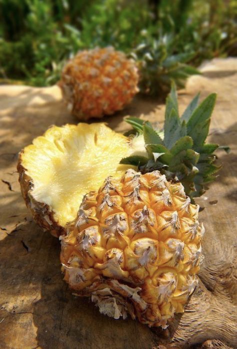 Pineapple Photography, Pineapple Photo, Fruit Images, Cooked Pineapple, Cut Pineapple, Pineapple Water, Fruit Kabobs, Pineapple Images, Healthy Food Inspiration