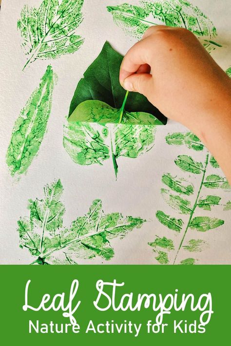 A fun and simple science activity for kids Science Activity For Kids, Leaf Stamping, Nature Activity, Study Lesson, Forest Crafts, Outdoor Learning Activities, About Trees, Forest School Activities, Summer Camp Activities