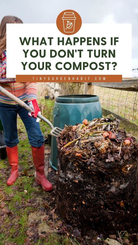 So what happens if you don’t turn compost? Not turning your compost may keep the heap cold and the processes inside anaerobic, but if the balance of brown vs green ingredients is right, you’ll still get compost. Cold composting takes longer, but it’s nature’s way of breaking down organic matter. Check this article to learn how to do compost the lazy way. Homemade Compost Bin, Small Compost Bin, Outdoor Compost Bin, Making A Compost Bin, Composting Methods, Compost Bin Diy, Compost Tumbler, Diy Compost, Composting Process