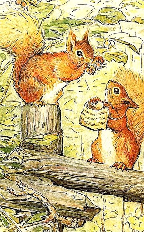 Beatrix Potter (1866-1943) — The Tale of Squirrel Nutkin,1903 (498x800) Squirrel Nutkin, Beatrix Potter Illustrations, Beatrice Potter, Peter Rabbit And Friends, Marjolein Bastin, Potter Art, A Squirrel, Pinturas Disney, Beatrix Potter