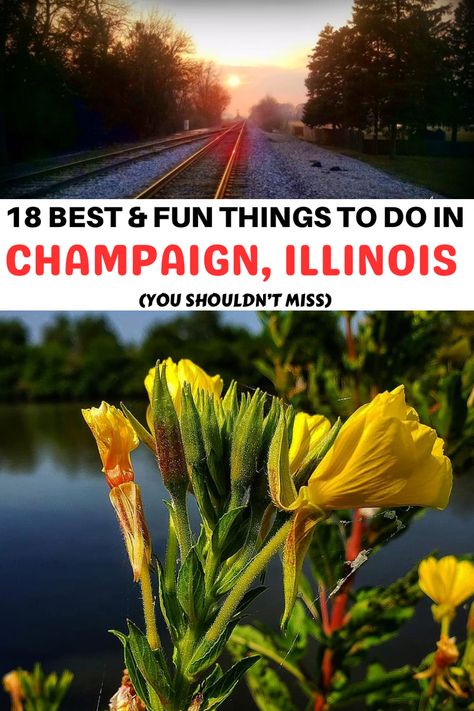 18 Best & Fun Things to do in Champaign Illinois You Shouldn’t Miss | top things to do in Champaign | unique things to do in Champaign | outdoor things to do in Champaign | amazing things to do in Champaign | places to visit in Champaign | things to see in Champaign | #bucketlist #thingstodo #roadtrip #travelbucketlist #usatravel Champagne Illinois, Urbana Champaign Illinois, Carbondale Illinois, Urbana Illinois, Champaign Illinois, Aquatic Center, Kids Things To Do, Urbana Champaign, Fun Fall Activities