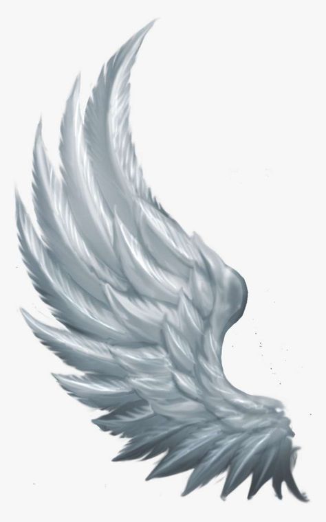 Side Angel Wings, Angel Wings Png, Alas Tattoo, Red Waves, Wing Tattoo Men, Devil Wings, Angel Wings Drawing, Wings Png, Angel Wings Art