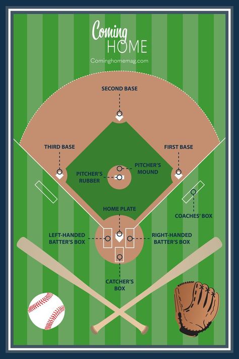 infographic of baseball field Baseball Training Drills, Baseball Training, Feature Article, Baseball Equipment, Field Guide, Baseball Field, Everyone Else, Need To Know, Baseball