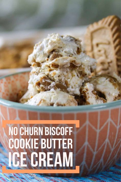 Cookie Butter Ice Cream, Biscoff Ice Cream, Cream Deserts, Smores Ice Cream, Biscoff Recipes, Peppermint Ice Cream, Butter Ice Cream, Biscoff Cookie Butter, Biscoff Cookies