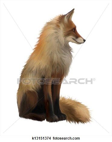 Adult fox, Side view. Sitting View Large Illustration Fox Side View, Side View Drawing, Fox Artwork, Profile Drawing, Fox Drawing, Fox Illustration, Free Art Prints, Fox Design, Fox Art