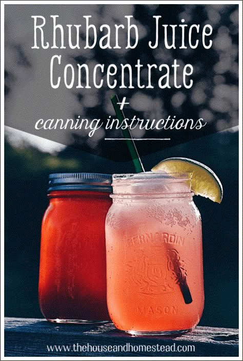 Rhubarb Juice Concentrate (With Canning Instructions) | The House  Homestead Rhubarb Soda, Rhubarb Lemonade, Rhubarb Cocktail, Rhubarb Juice, Flavored Lemonade, Rhubarb Syrup, Homemade Soda, Rhubarb Recipes, Juice Concentrate