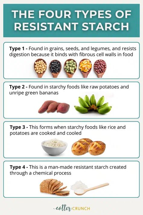 What is resistant starch? Find the answer along with the health benefits, types of resistant starch, and how to include it in your diet! Starch Free Diet, Resistant Starch Foods, Healthy Starch, Banana Types, Eat To Perform, Baked Plantains, Starch Foods, Resistant Starch, Medicinal Herbs Garden