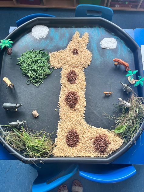 Africa Tuff Tray Ideas, No Mess Tuff Tray Ideas, Safari Messy Play, Africa Tuff Tray, Safari Sensory Activities, Dear Zoo Activities Eyfs Tuff Tray, Jungle Messy Play, Safari Tuff Tray Ideas, Wild Animals Activities For Toddlers