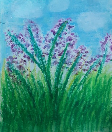 Plant Oil Pastel, Oil Pastel Drawings, Lavender Plant, Oil Pastels, Oil Plant, Pastel Drawing, Oil Pastel, Art Inspo, Lavender