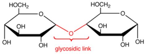 Difference Between Glycosidic Bond and Peptide Bond Check more at https://in4arts.com/difference-between-glycosidic-bond-and-peptide-bond-2.html Peptide Bond, Toyota Camry, Toyota, Quick Saves, Art