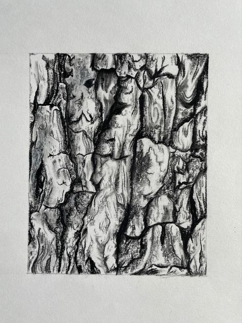 Fish Texture Drawing, Charcoal Texture Drawing, Wood Texture Sketch, Leaf Texture Drawing, Forest Floor Drawing, Tree Texture Drawing, Skin Texture Drawing, Tree Bark Drawing, Bark Drawing