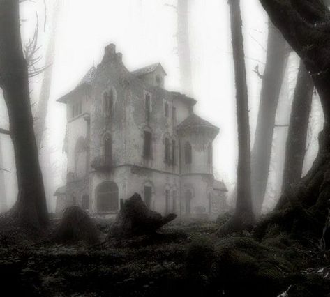 melinoe aesthetic Creepy Cute Aesthetic, Eerie Places, White Goth, Crystal Castle, Dark Nature Aesthetic, Abandoned House, Angel Aesthetic, Southern Gothic, Gothic Aesthetic