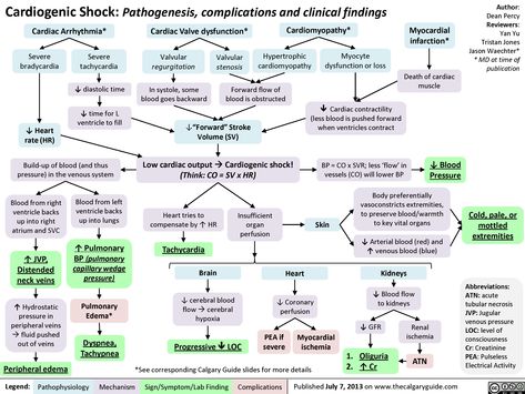 Pathology Study, Nursing Apps, Cardiogenic Shock, Nursing School Essential, Nursing Mnemonics, Pharmacy School, Cardiac Nursing, Nursing School Survival, Critical Care Nursing