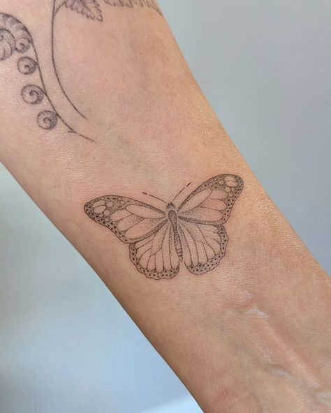 A freshly tattooed butterfly, and a fern 1 week into healing. Thank you again Rebecca! 😊 I've been very lax with posting much recently - It's taken me 10 days to post this one. It's partly due to lack of time and brain bandwidth around other life things, and partially a discomfort with Instagram and feeling a bit icky about putting myself out there. Especially at this time of year with the chance of seasons, I feel like hibernation is calling and there's an urge to hide away. When you post... Fern, 10 Days, Brain, Take That, Healing, Tattoos, 10 Things, Instagram