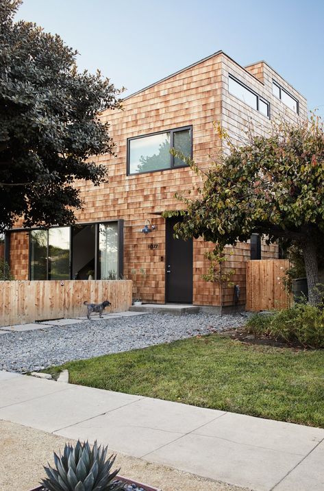 Ken Tanaka Modern Black Windows, Gravel Yard, Shingled House, Crushed Gravel, Exterior Design Architecture, House Palette, Modern Home Exterior, Cedar Shingle, Lexington Va