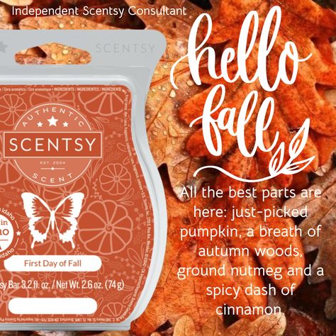 First day of fall - all the best parts are here: just-picked pumpkin, a breath of autumn woods, ground nutmeg and a spicy dash of cinnamon Scentsy First Day Of Fall, Autumn Woods, Scentsy Bar, First Day Of Fall, Scentsy Bars, Scentsy Consultant, Ground Nutmeg, Hello Fall, Hello Autumn