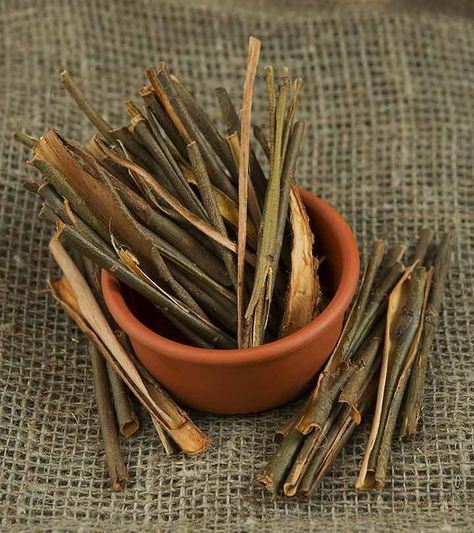 White Willow Bark (Natural Aspirin) And Its Benefits Pineapple Health Benefits, White Willow Bark, Human Body Temperature, Health Hair, Musculoskeletal Pain, White Willow, Willow Bark, Reduce Cholesterol, How To Get Rid Of Acne