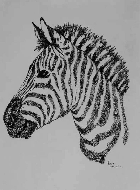 Study Zebra, Pen on white paper, 21 x 29 cm, 2022, by Marion Schinkel. Zebra Drawing Sketches Pencil, Sick Doodles, Zebra Doodle, Zebra Sketch, Zebra Drawing, Zebra Face, Drawing Prompts, Face Sketch, Fundraising Ideas