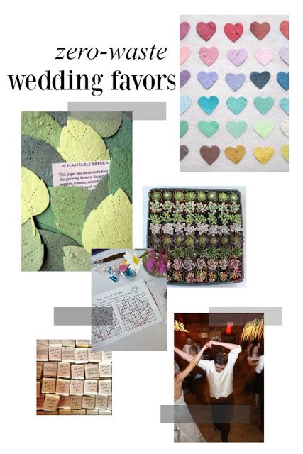 Zero-Waste Wedding Favors - succulents, seeds, saplings and more - #ecofriendly #zerowaste #sustainability #weddingfavors #greenwedding #ecowedding Free Wedding Favors, Thrifted Wedding Favors, Zero Waste Wedding, Butterfly Wedding Favors, Eco Friendly Wedding Favors, Rural Wedding, Anniversary Favors, Wedding Advice Cards, Healthy Gift