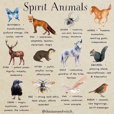 Animals And Their Symbolism, Animals Spiritual Meanings, Spirit Guide Animals, Animal Meanings Symbols, Animal Tattoos And Their Meanings, Zodiac Spirit Animals, Animals With Meaning, Spiritual Animal Tattoos, Symbolism Animals