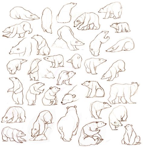 Doodles Reference, Bear Drawing Reference, Bear Simple Drawing, Bear Doodles, Bear Sketches, Bear Reference, Polar Bear Drawing, Pets Wallpaper, Bear Sketch