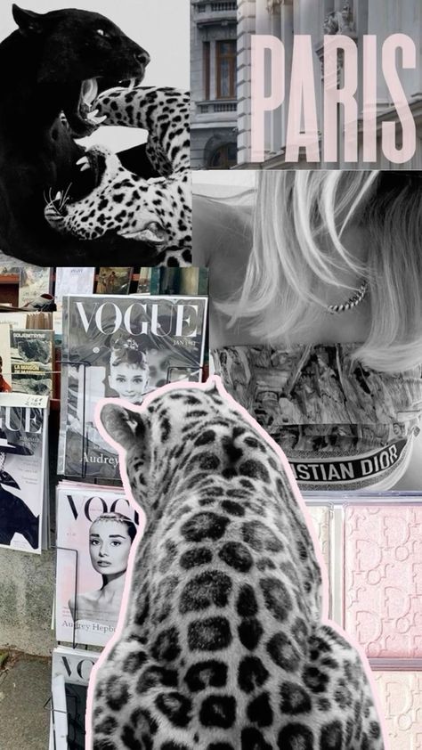 Girly Wallpaper Collage, Glamour Aesthetic Leopard, 2016 Wallpaper Aesthetic, Leopard Print Wallpaper Aesthetic, Her Wallpaper Aesthetic, Lepord Print 2000s Wallpaper, Glamour Aesthetic Wallpaper, Aesthetic Wallpaper Leopard, Leopard Pink Wallpaper