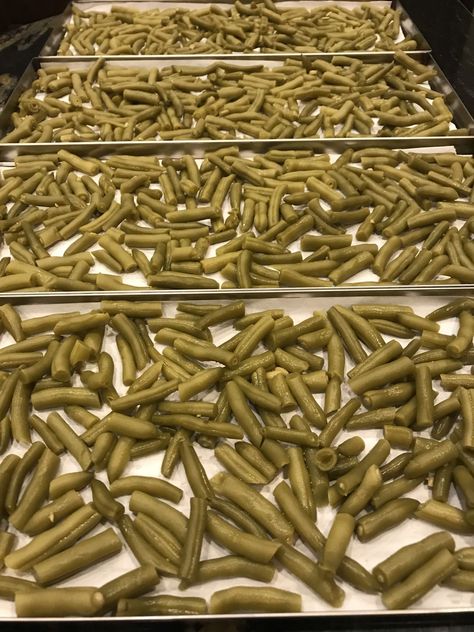 Freeze Dry Green Beans At Home - Acre Life Food Preservation Freeze Dry Vegetables, Freeze Dried Green Beans, Freeze Dried Zucchini, Freeze Dried Veggie Chips, Meals To Freeze Dry, Freeze Dried Gifts, Diy Freeze Dried Meals, Freeze Drying Food Recipes, Freeze Dried Snacks