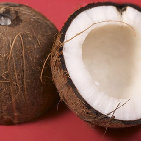 Coconut Images, Coconut Oil Brands, Health Coconut Oil, Apply Coconut Oil, Biscuits Graham, Coconut Oil For Teeth, Coconut Oil For Dogs, Coconut Oil For Acne, Coconut Oil Skin Care