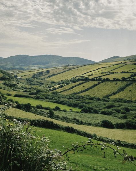 Irish Scenery Landscapes, Irish Countryside Aesthetic, Norwegian Countryside, Story Ideas Romance, Step Landscape, Sketching Journal, Uk Birds, Irish Farm, Ireland Countryside