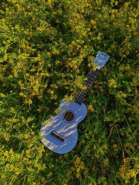 Music Aesthetic Wallpaper, Ukulele Aesthetic, Easy Guitar Songs, Guitar Tabs Songs, Ukulele Music, Guitar Chords For Songs, Ukulele Lesson, Guitar Photos, Velvet Wallpaper