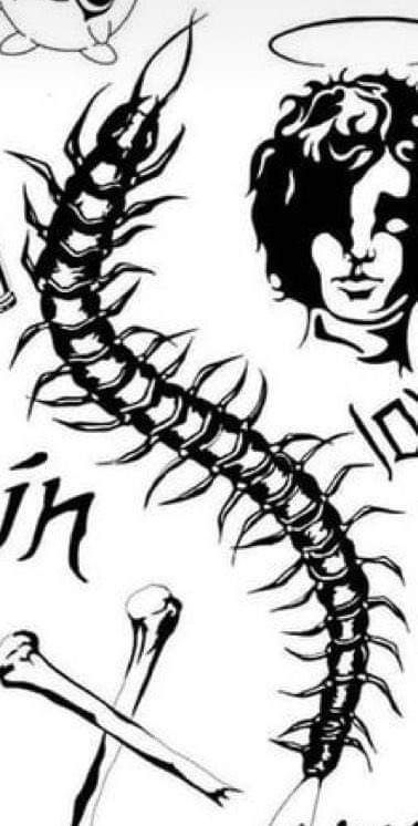 Sentapeed Tattoo, Centipede Design, Bw Tattoo, Centipede Tattoo, Arm Tats, Spooky Tattoos, Trash Art, Horror Tattoo, Fairy Tattoo