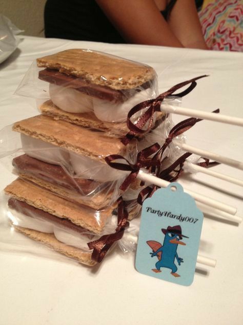 Smores Pops, Smores Party, Camping Birthday Party, S'mores Bar, Camping Birthday, Bake Sale, Homemade Christmas Gifts, Homemade Christmas, Holiday Treats