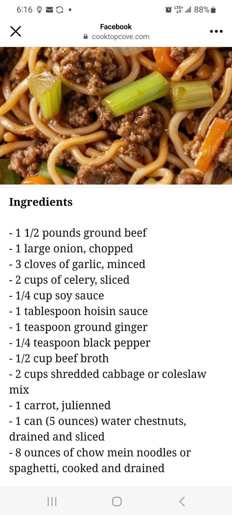 Chow mein Ground Beef Chow Mein, Chicken Chow Mein Recipe Easy, Beef Chow Mein, Slow Cooker Ground Beef, Chow Mein Recipe, Chicken Chow Mein, Chow Mein Noodles, Cabbage Casserole, Crockpot Beef