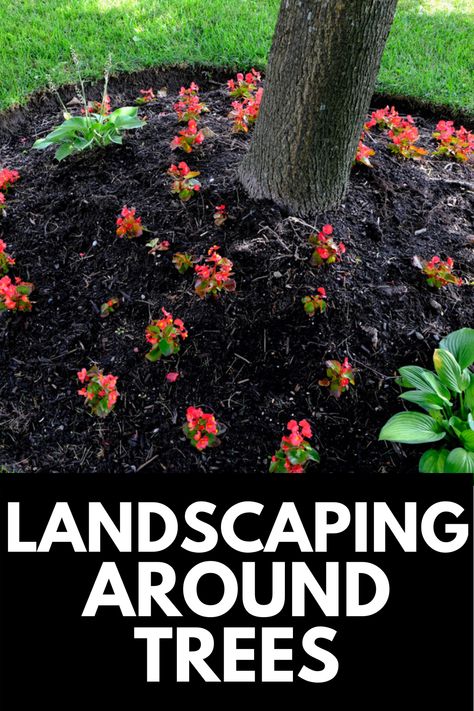 Here, we share our FAVORITE ideas for landscaping around trees and show you how to landscape around trees easily! Read more at OwnTheYard.com! Garden Around Tree Front Yards, Tree Mound Landscaping, Borders Around Trees Ideas, How To Landscape Around A Tree, Landscape Ideas Around Trees, Around Tree Landscaping Ideas, Base Of Tree Landscaping, Big Tree Landscaping, Landscaping Around Trees Front Yards