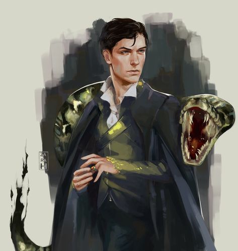 Film Harry Potter, Art Harry Potter, Barty Crouch Jr, Harry Potter Artwork, Lord Voldemort, Tom Riddle, Harry Potter Anime, Harry Potter Film, Harry Potter Aesthetic