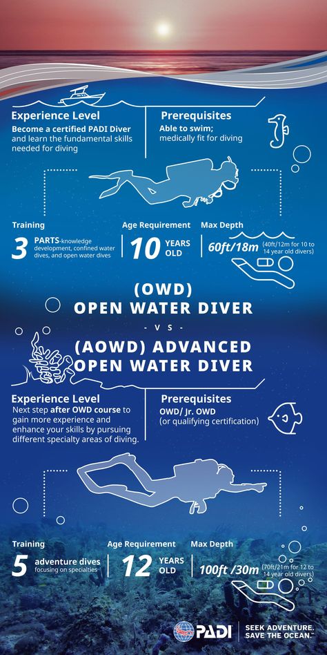 Open Water Diving, Padi Certification, Scuba Certification, Diving Quotes, Padi Diving, Scuba Diving Certification, Scuba Diving Courses, Scuba Diving Photography, Diving Course