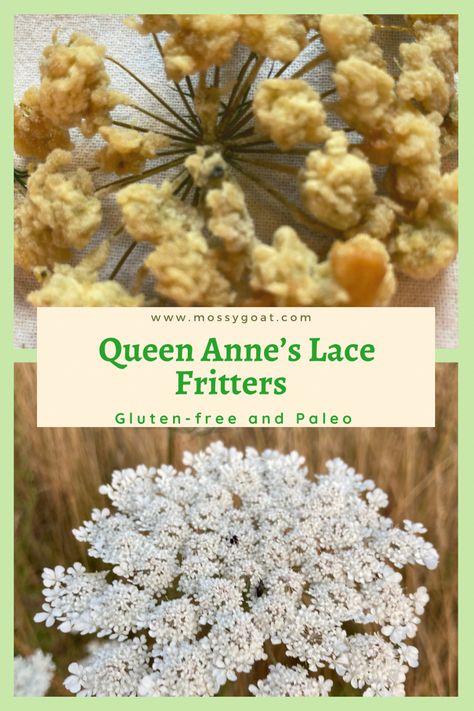 Fresh fried Queen Anne’s Lace fritters. Wild Carrot Recipe, Queen Annes Lace Recipes, Forage Recipes, Carrot Fritters, Survival Recipes, Eating Flowers, Farm Cooking, Diy Witch, Wild Carrot