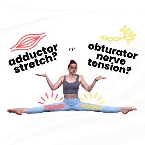 Obturator Nerve Tension Test and Nerve Glide - Help for Straddle and Middle Splits — Dani Winks Flexibility Obturator Nerve, Middle Splits Stretches, Inner Thigh Stretches, Inner Thigh Muscle, Middle Splits, Muscle Stretches, Stretches For Flexibility, Flexibility Training, Thigh Muscles