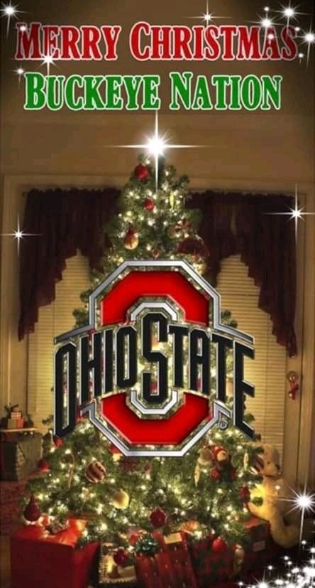 Ohio State Buckeyes Christmas, Ohio State Christmas, Ohio State Buckeyes Room, Ohio State Buckeyes Crafts, Buckeye Crafts, Ohio State Wallpaper, Osu Buckeyes Football, Ohio State Logo, Buckeye Nation