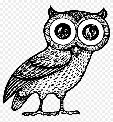 Owl Of Athena Tattoo, Amphora Tattoo, Minerva Owl, Owl Of Athena, Athena Tattoo, Greek Aesthetic, Greek Crafts, Athena Owl, Owl Png