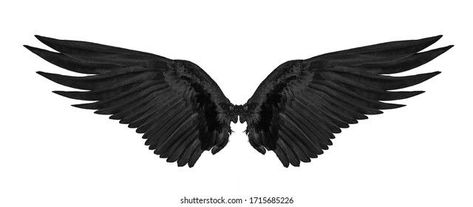 Open Angel Wings, Back Of Neck Tattoo, Black Wings, Heart Wallpaper, Black Swan, Neck Tattoo, Angel Wings, White Background, Photo Image